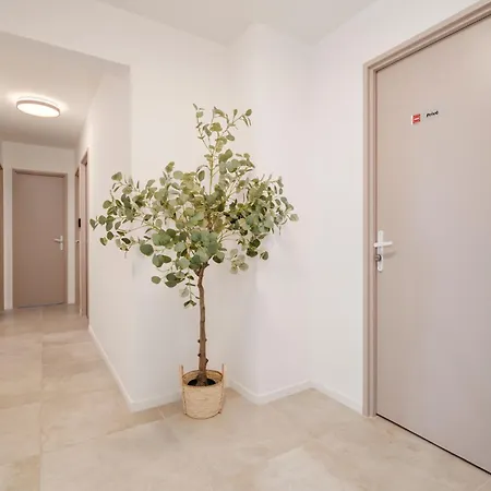 Le Belvedair Avec Garage Pour 8 Personnes アパート ナンシー